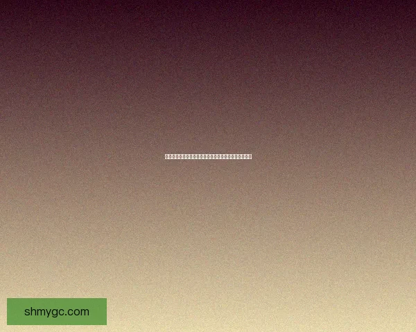 冒险岛唤灵斗师全技能解析与技巧分享助你成为最强战士