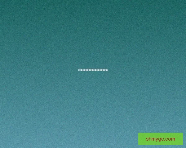 全体成员登船任务执行步骤与注意事项详解