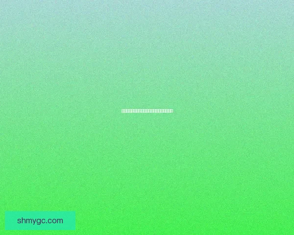 圣地安列斯修改器功能全面解析及使用技巧详解 圣地安列斯修改器功能全面解析及使用技巧详解